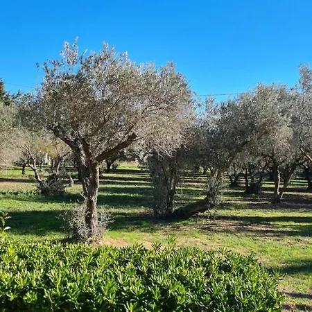 Home Charmant des Alpilles Saint-Étienne-du-Grès Extérieur photo