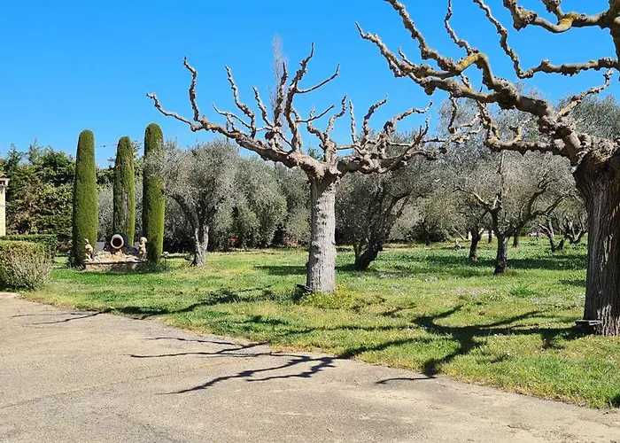 Home Charmant des Alpilles