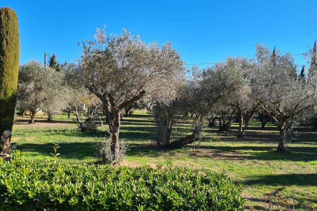 Holiday home Home Charmant Des Alpilles