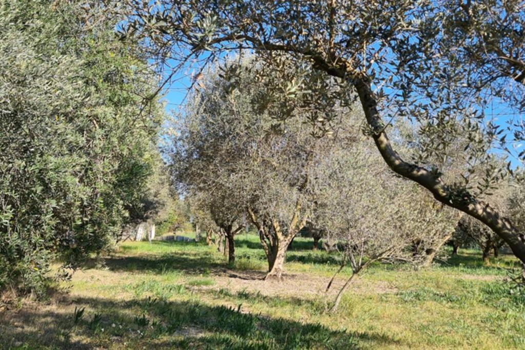 Home Charmant Des Alpilles Holiday home *