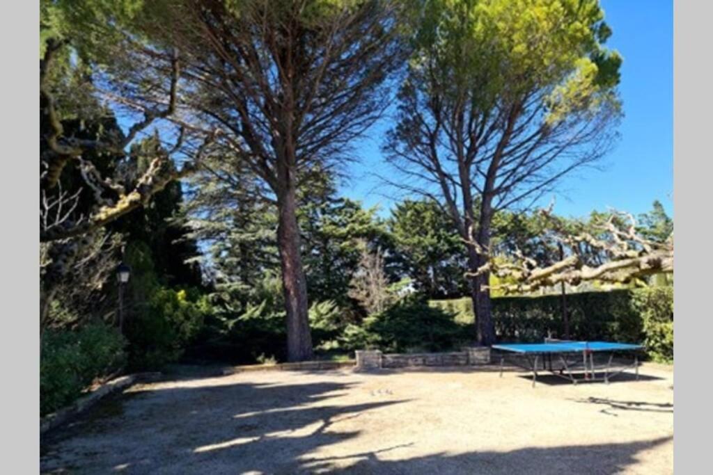 Home Charmant Des Alpilles