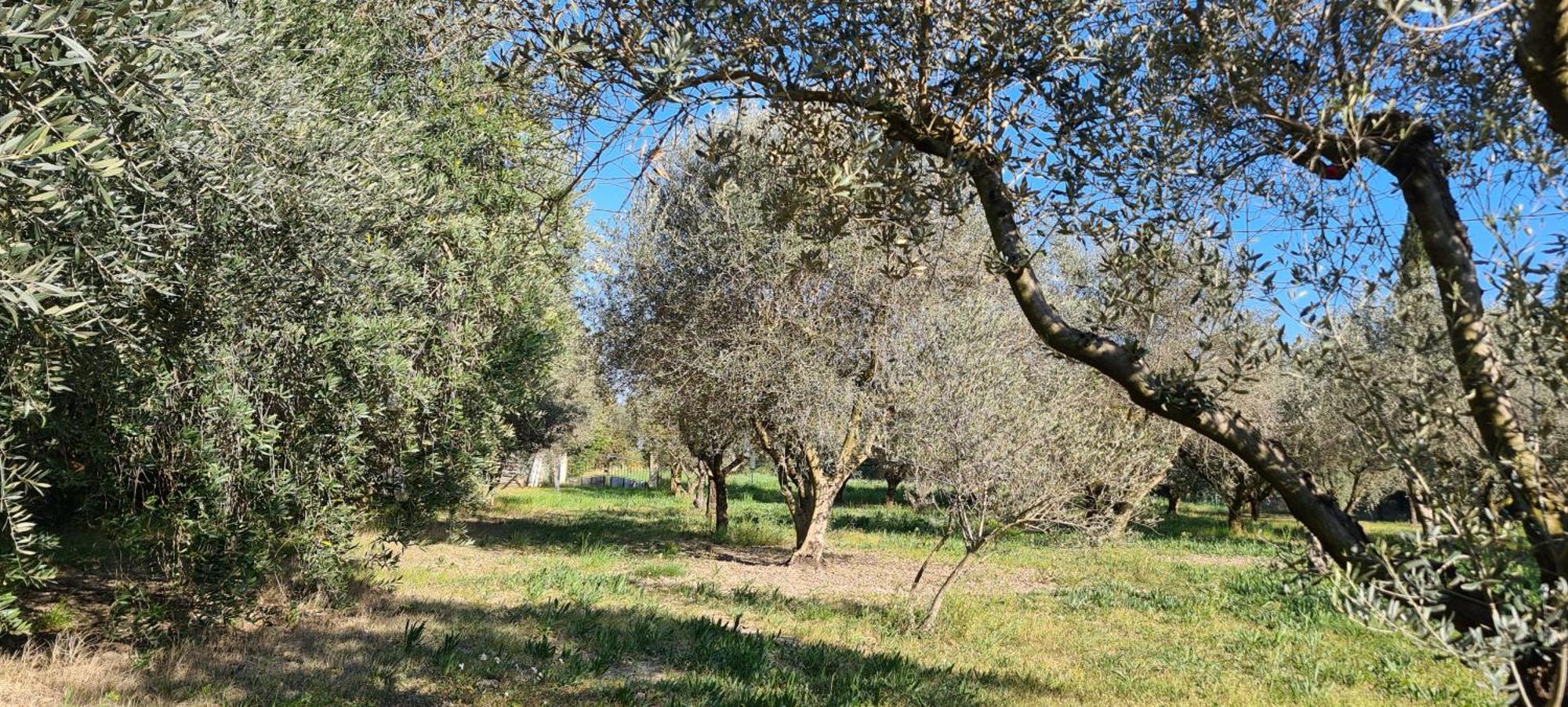Home Charmant des Alpilles Hébergement de vacances *